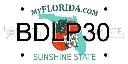 BDLP30 Florida License Plate