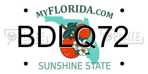 BDLQ72 Florida License Plate