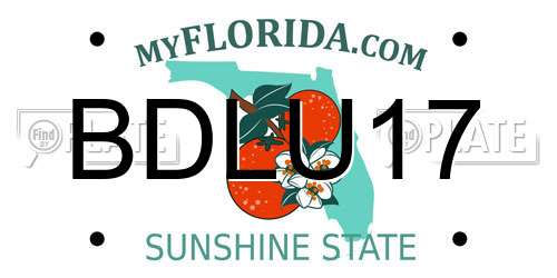 BDLU17 Florida License Plate