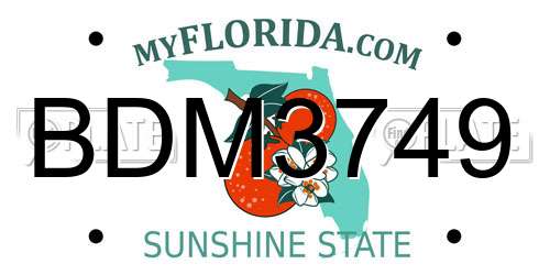 BDM3749 Florida License Plate