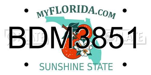 BDM3851 Florida License Plate