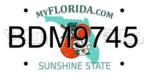 BDM9745 Florida License Plate