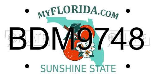 BDM9748 Florida License Plate