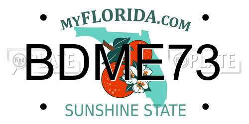 BDME73 Florida License Plate