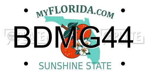 BDMG44 Florida License Plate