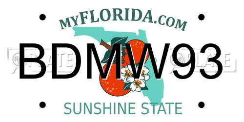 BDMW93 Florida License Plate