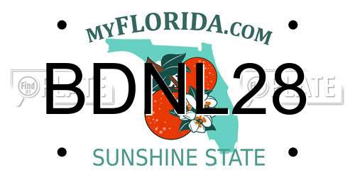 BDNL28 Florida License Plate