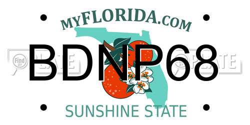 BDNP68 Florida License Plate