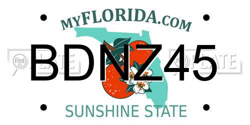 BDNZ45 Florida License Plate
