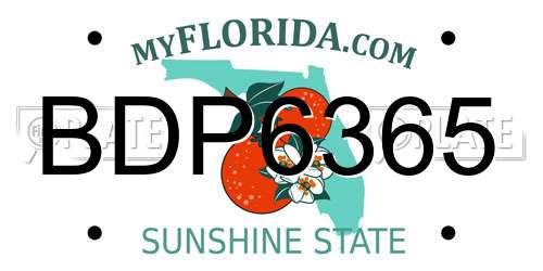 BDP6365 Florida License Plate