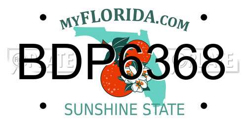 BDP6368 Florida License Plate