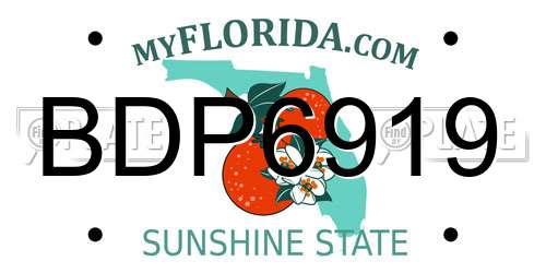 BDP6919 Florida License Plate