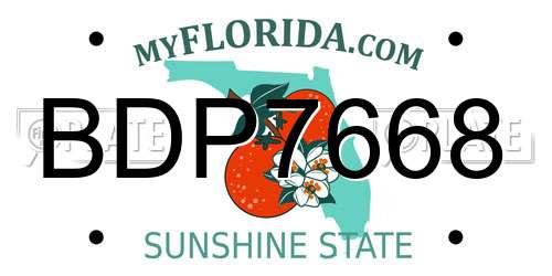 BDP7668 Florida License Plate