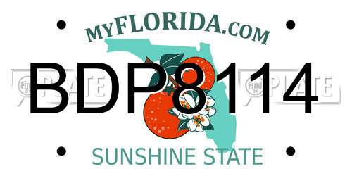BDP8114 Florida License Plate