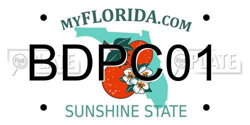 BDPC01 Florida License Plate