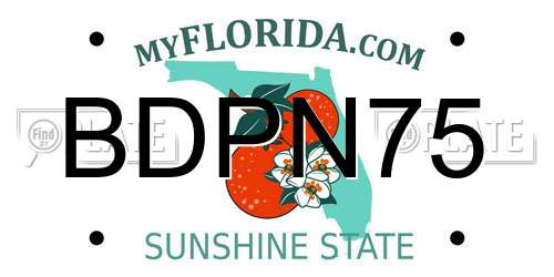 BDPN75 Florida License Plate