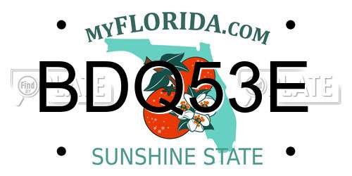 BDQ53E Florida License Plate