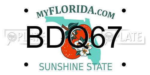 BDQ67 Florida License Plate