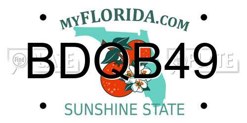BDQB49 Florida License Plate