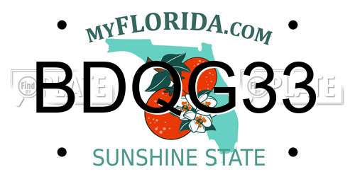 BDQG33 Florida License Plate