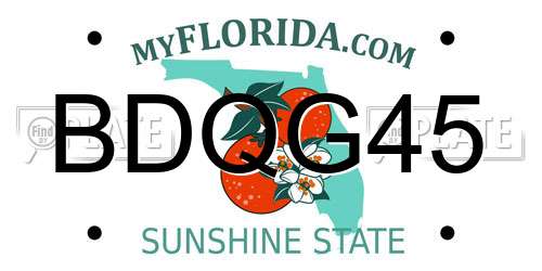 BDQG45 Florida License Plate