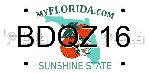 BDQZ16 Florida License Plate