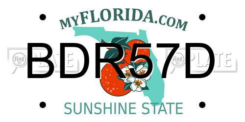 BDR57D Florida License Plate