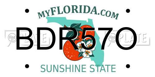 BDR57O Florida License Plate