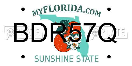 BDR57Q Florida License Plate