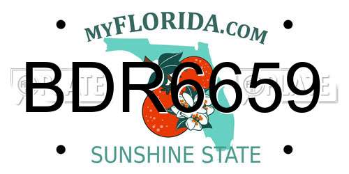 BDR6659 Florida License Plate