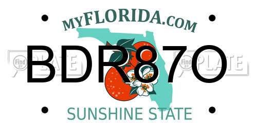 BDR87O Florida License Plate