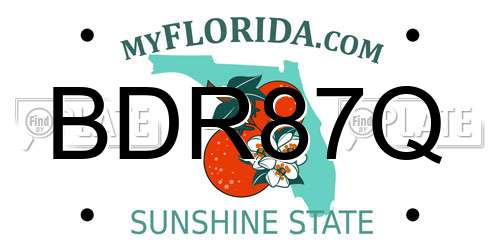 BDR87Q Florida License Plate