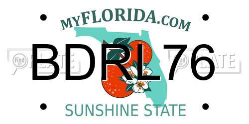 BDRL76 Florida License Plate