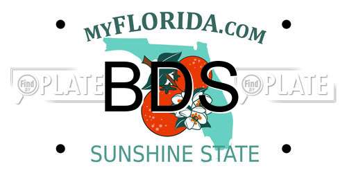 BDS Florida License Plate