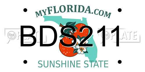 BDS211 Florida License Plate