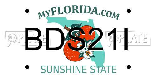 BDS21I Florida License Plate