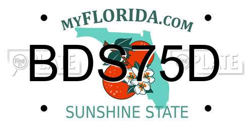 BDS75D Florida License Plate