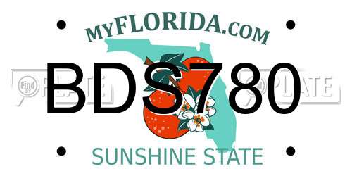 BDS780 Florida License Plate