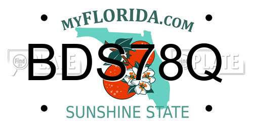 BDS78Q Florida License Plate