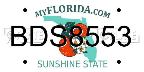 BDS8553 Florida License Plate