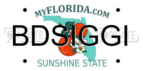 BDSIGGI Florida License Plate