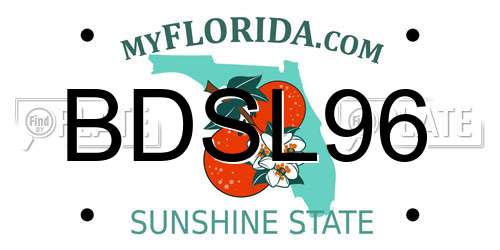BDSL96 Florida License Plate