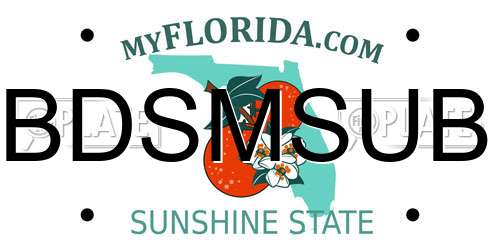 BDSMSUB Florida License Plate