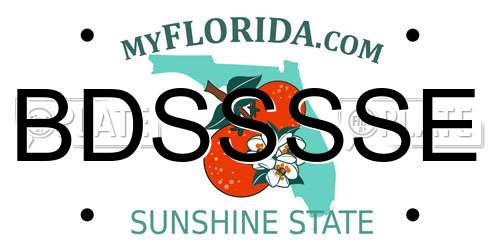 BDSSSSE Florida License Plate