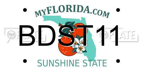 BDST11 Florida License Plate