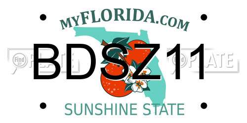 BDSZ11 Florida License Plate