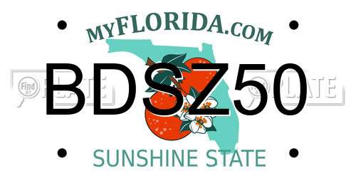BDSZ50 Florida License Plate