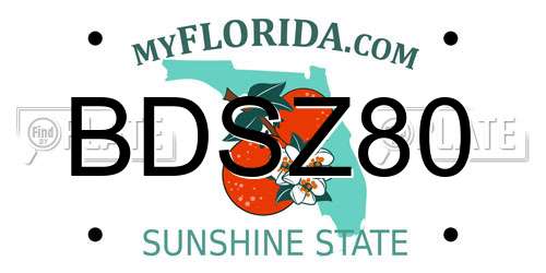 BDSZ80 Florida License Plate