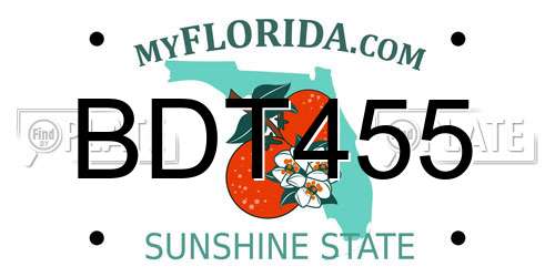 BDT455 Florida License Plate
