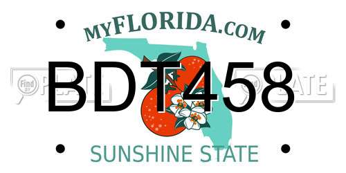 BDT458 Florida License Plate